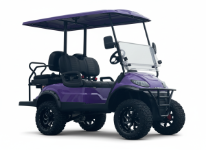 4 seater golf cart 