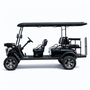 2025 High Quality New Design Golf Cart 6 Seater