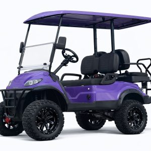 Top Premium High Quality New Design 2025 Golf Cart 4 Seaters